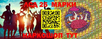 стафф Тара