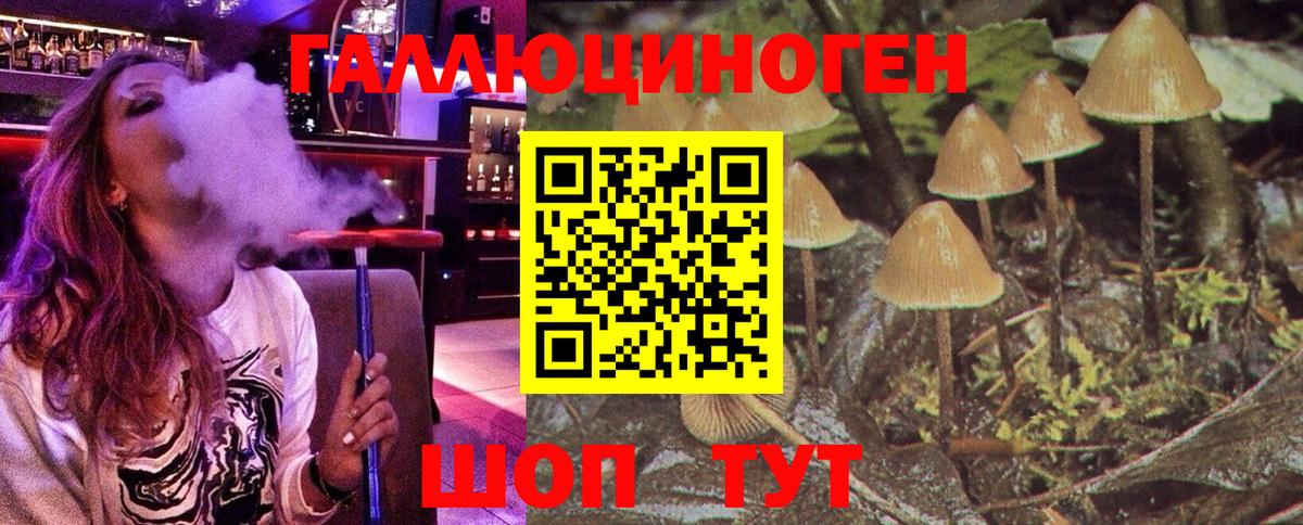 Галлюциногенные грибы MAGIC MUSHROOMS Нурлат